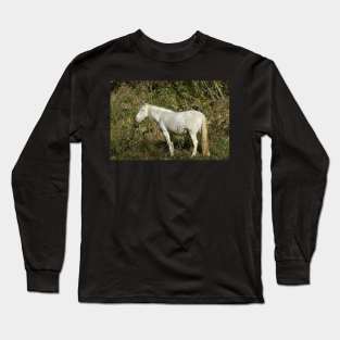 Wild Horse Long Sleeve T-Shirt